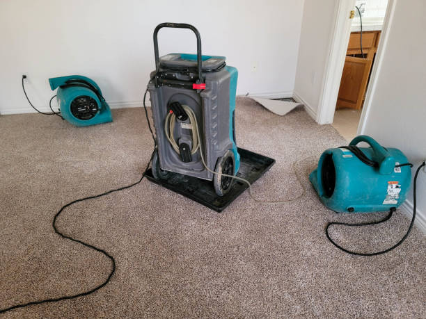Best 24/7 water damage repair  in Immokalee, FL