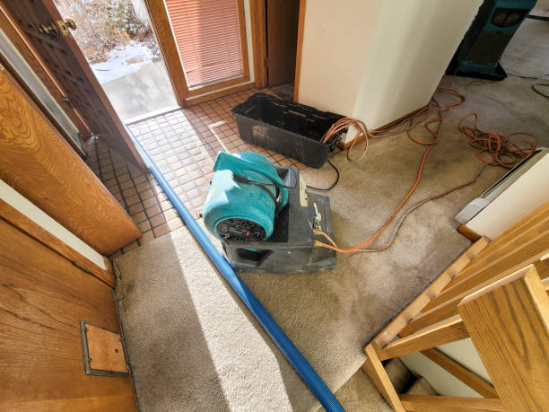 Best Flood restoration services  in Immokalee, FL