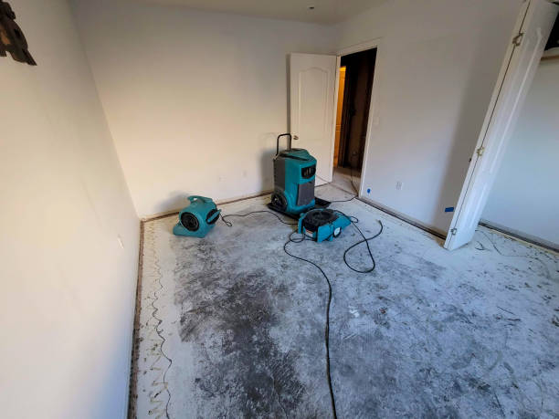 Best Water damage cleanup near me  in Immokalee, FL