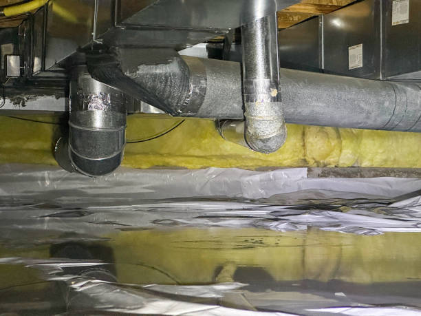 Best Water damage restoration company  in Immokalee, FL