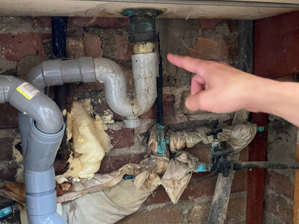 Best Water damage contractors near me  in Immokalee, FL