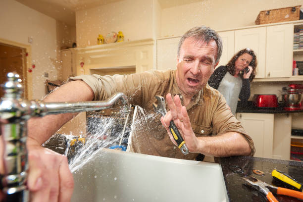 Best Local water damage restoration  in Immokalee, FL